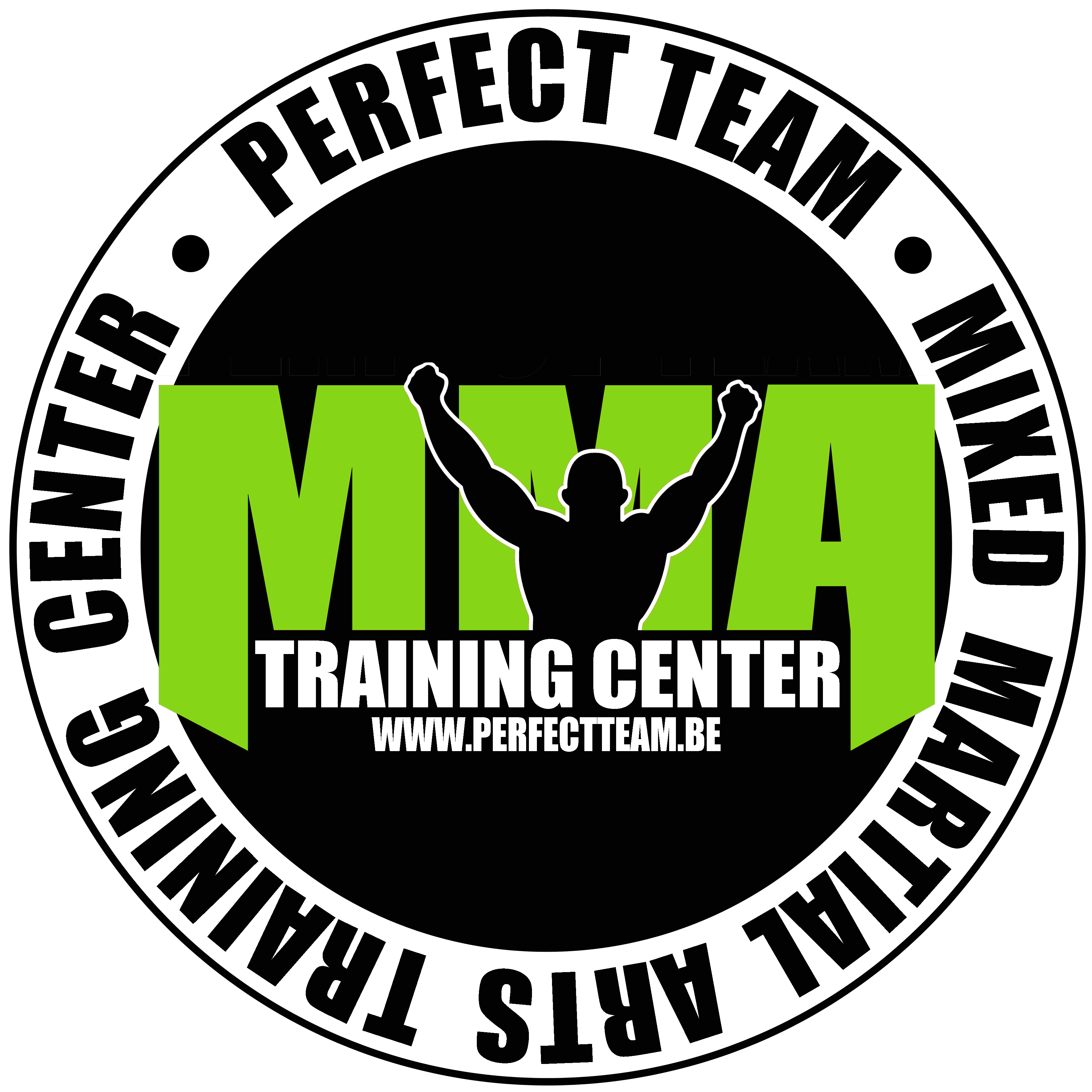 Perfect Team MMA